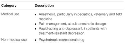 Effects of Perinatal Exposure to Ketamine on the Developing Brain